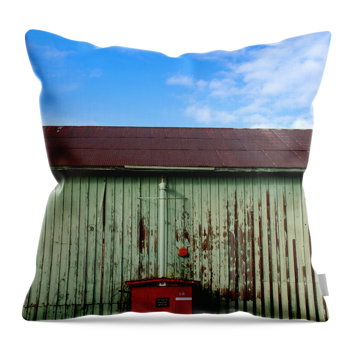 Buildings Throw Pillow featuring the photograph Building series - Red Shack by Kathleen Grace