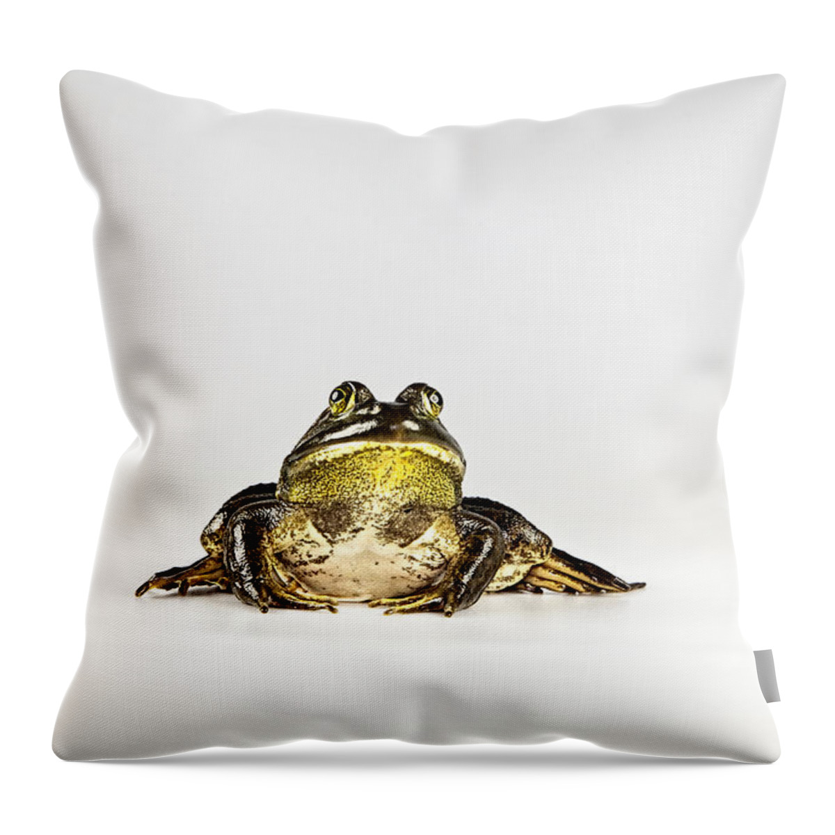 Bullfrog Throw Pillow featuring the photograph Bullfrog by John Crothers