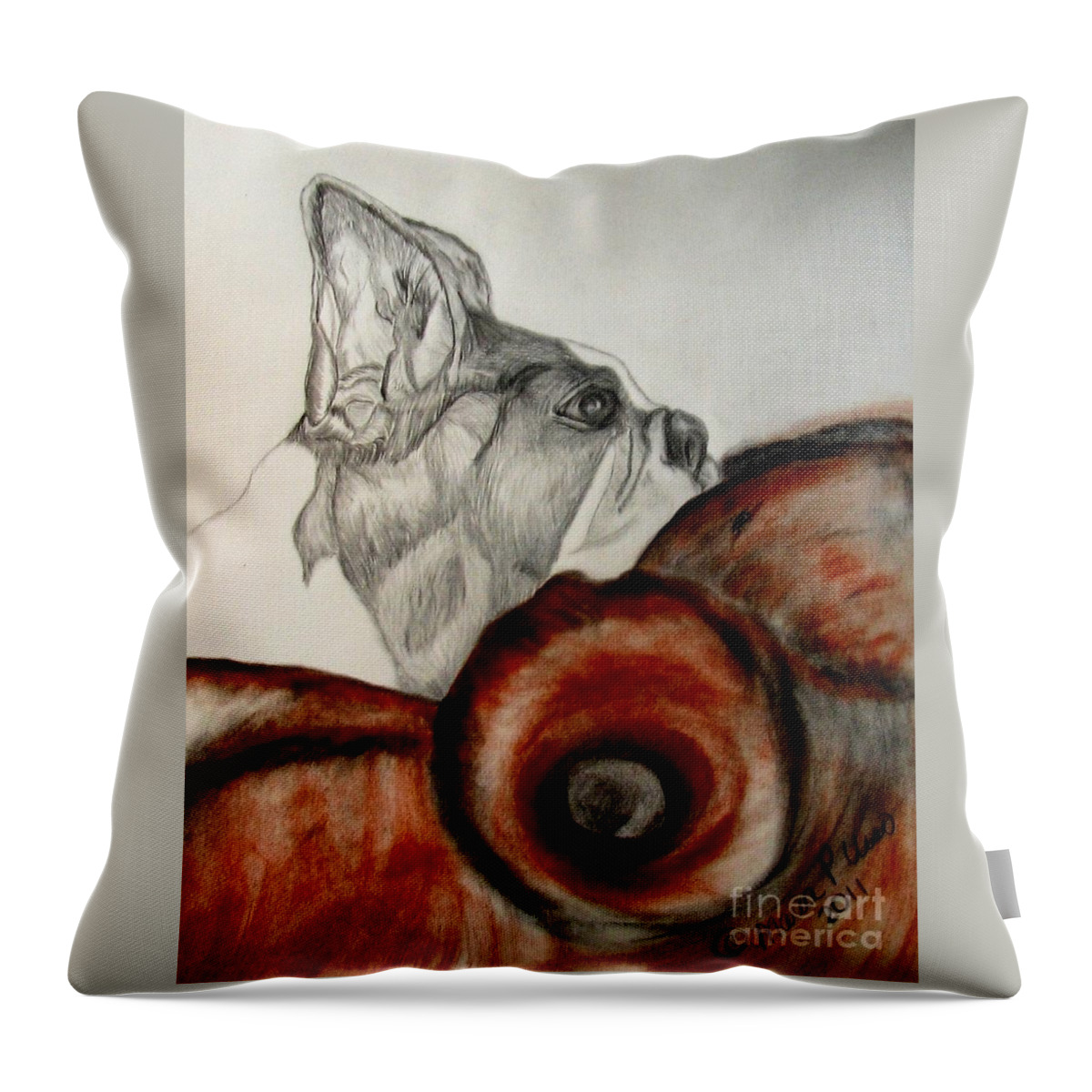 Boston Terrier Throw Pillow featuring the drawing Bundled in Blankets by Maria Urso