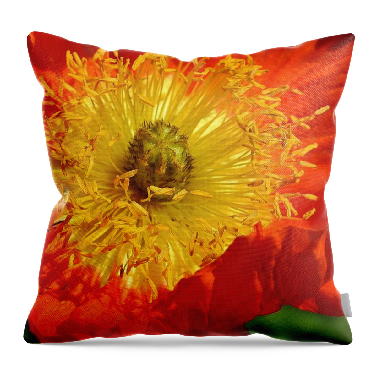 Flora Throw Pillow featuring the photograph Bursting Peony by Bruce Bley