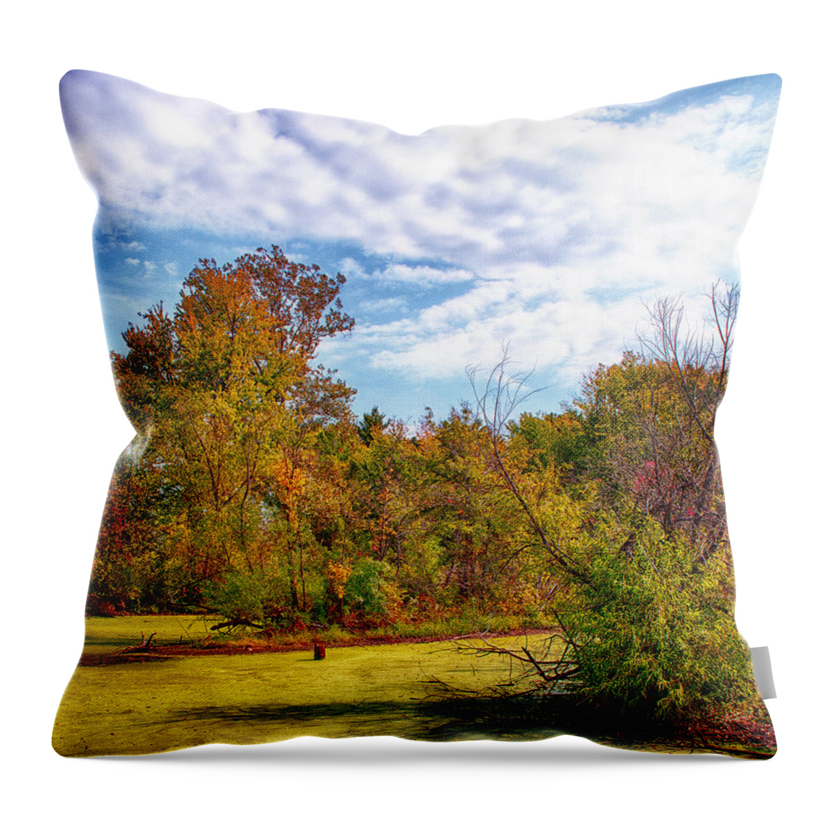 Ahden Knight Hampton Memorial Lake Throw Pillow featuring the photograph Busch Wildlife Swampy Autumn - 2 by Bill and Linda Tiepelman