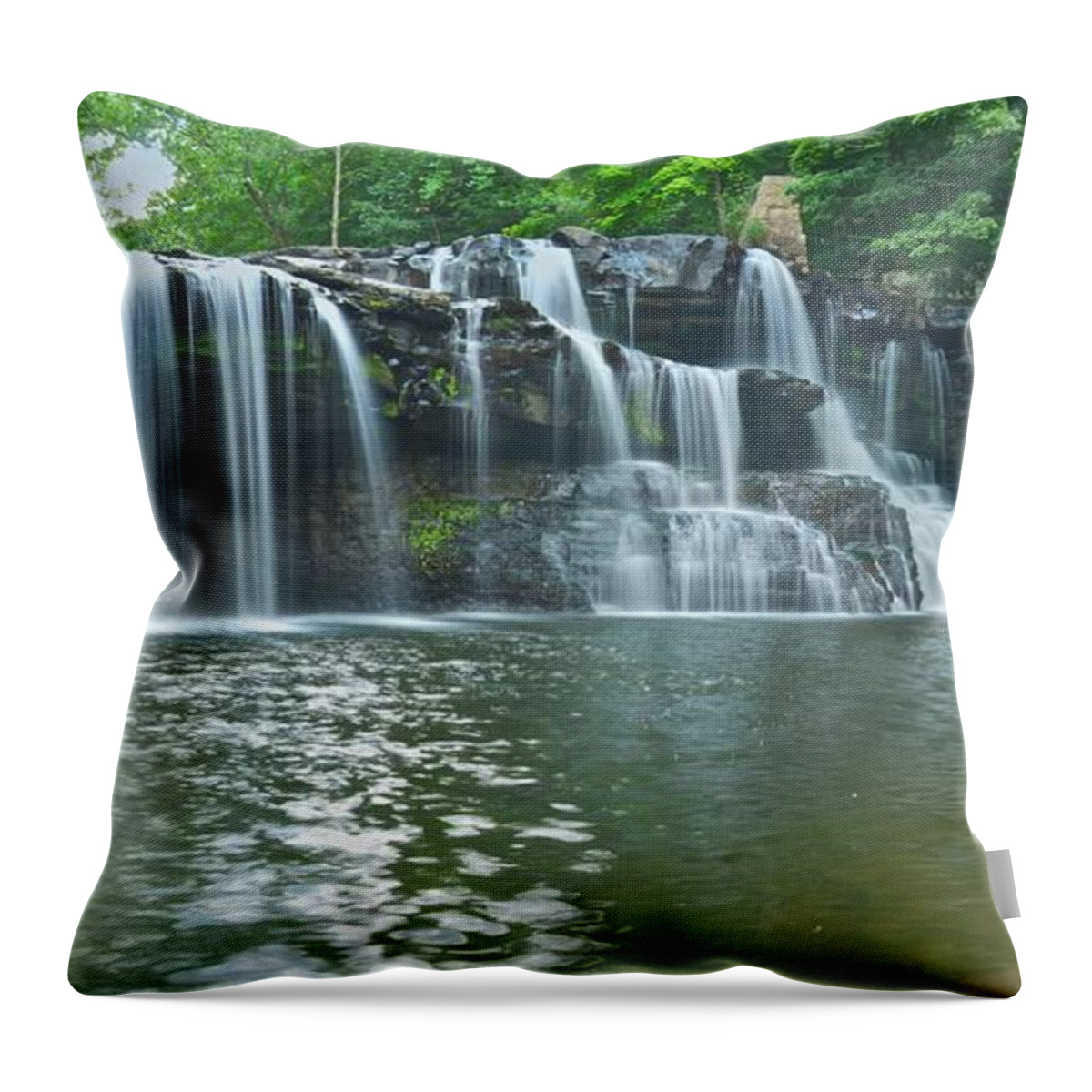 Bush Throw Pillow featuring the photograph Bush Creek Panorama1 by Michael Peychich