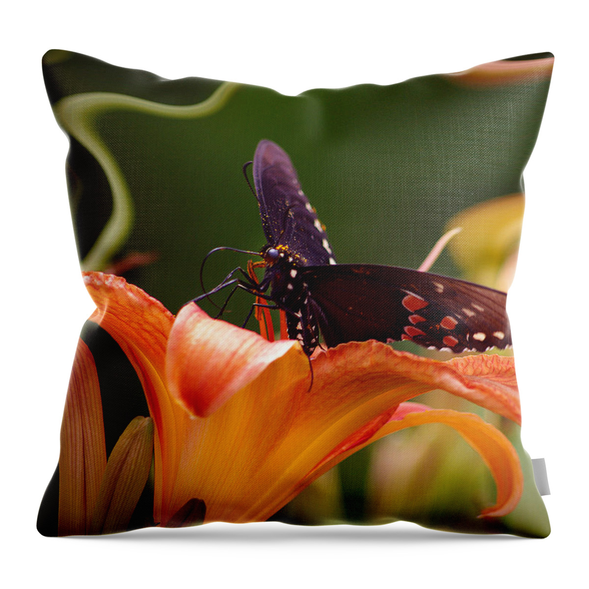 Nspirational Throw Pillow featuring the photograph Butterflies Are Free... by Arthur Miller