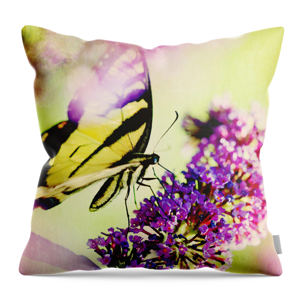Butterfly Throw Pillow featuring the photograph Butterfly Beauty by Kim Fearheiley
