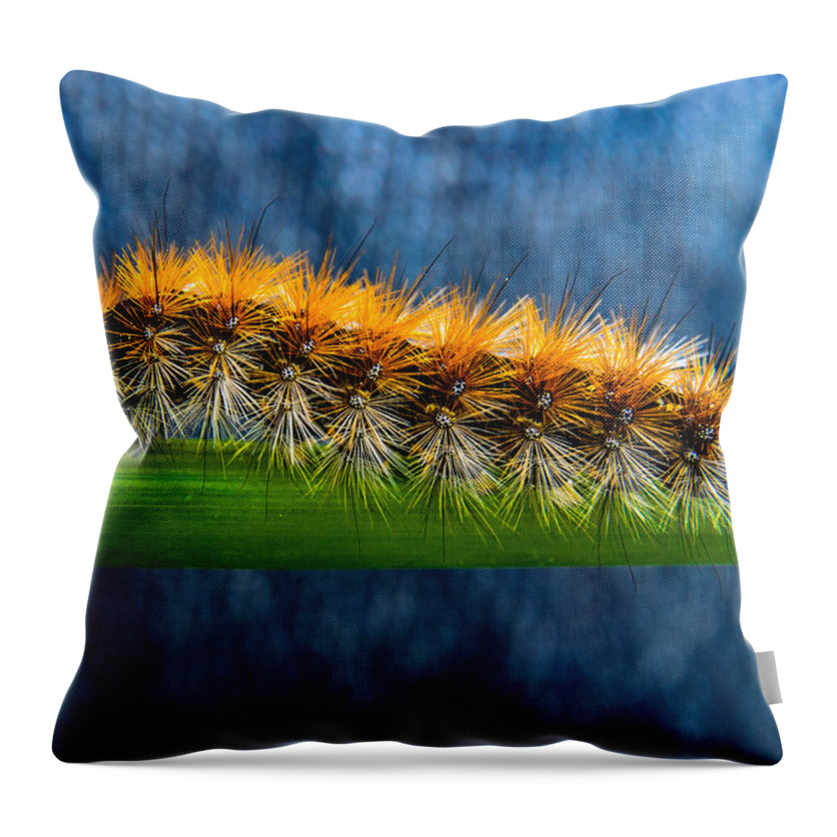 Animal Throw Pillow featuring the photograph Butterfly Caterpillar Larva On The Stem by Michael Goyberg