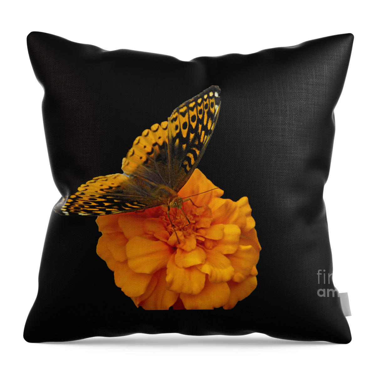 Butterfly Throw Pillow featuring the photograph Butterfly visitor by Cindy Manero