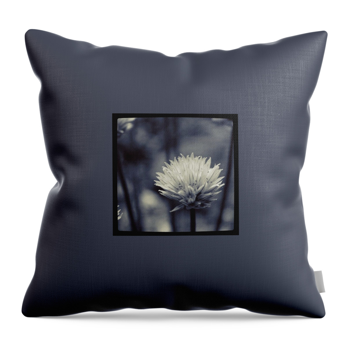 Baw Throw Pillow featuring the photograph #bw #bnw #noir #blackandwhite by Justin Connor