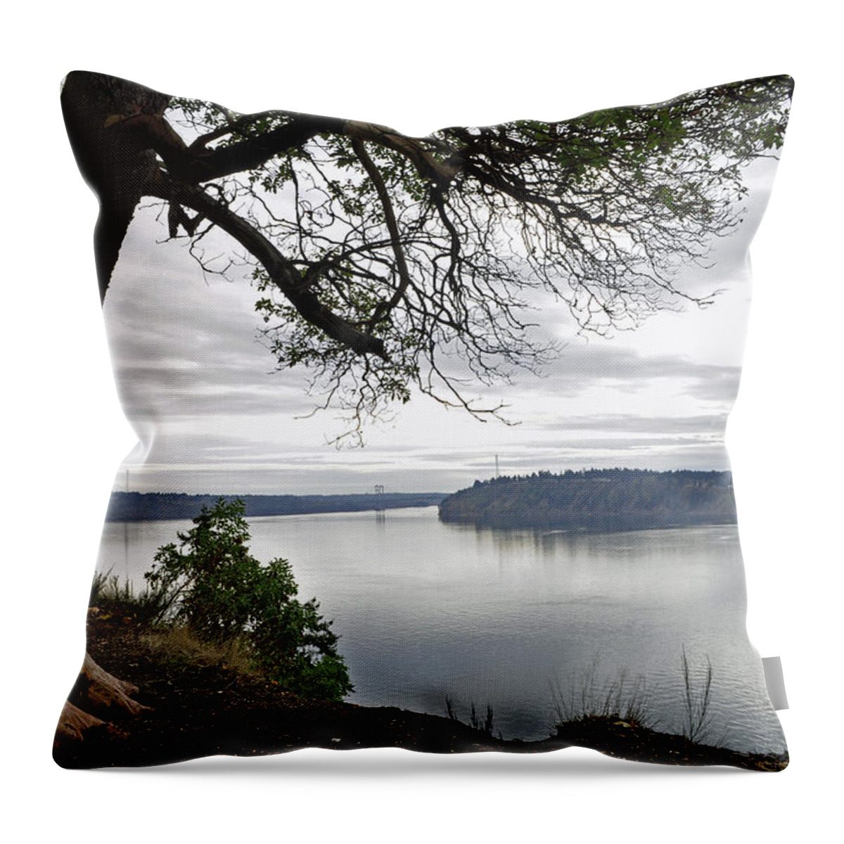 Landscape Throw Pillow featuring the photograph By the Still Waters by Tikvah's Hope