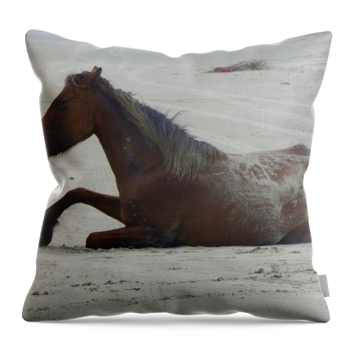 Wild Throw Pillow featuring the photograph Bye Bye Bugs by Kim Galluzzo