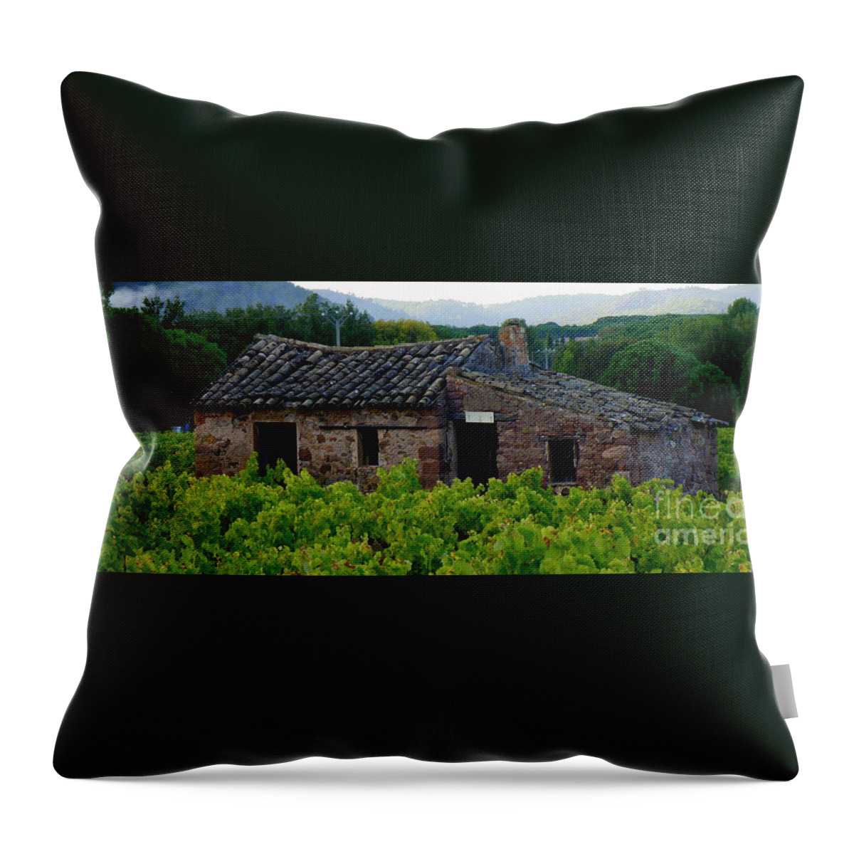 Cabanon Throw Pillow featuring the photograph Cabanon by Lainie Wrightson
