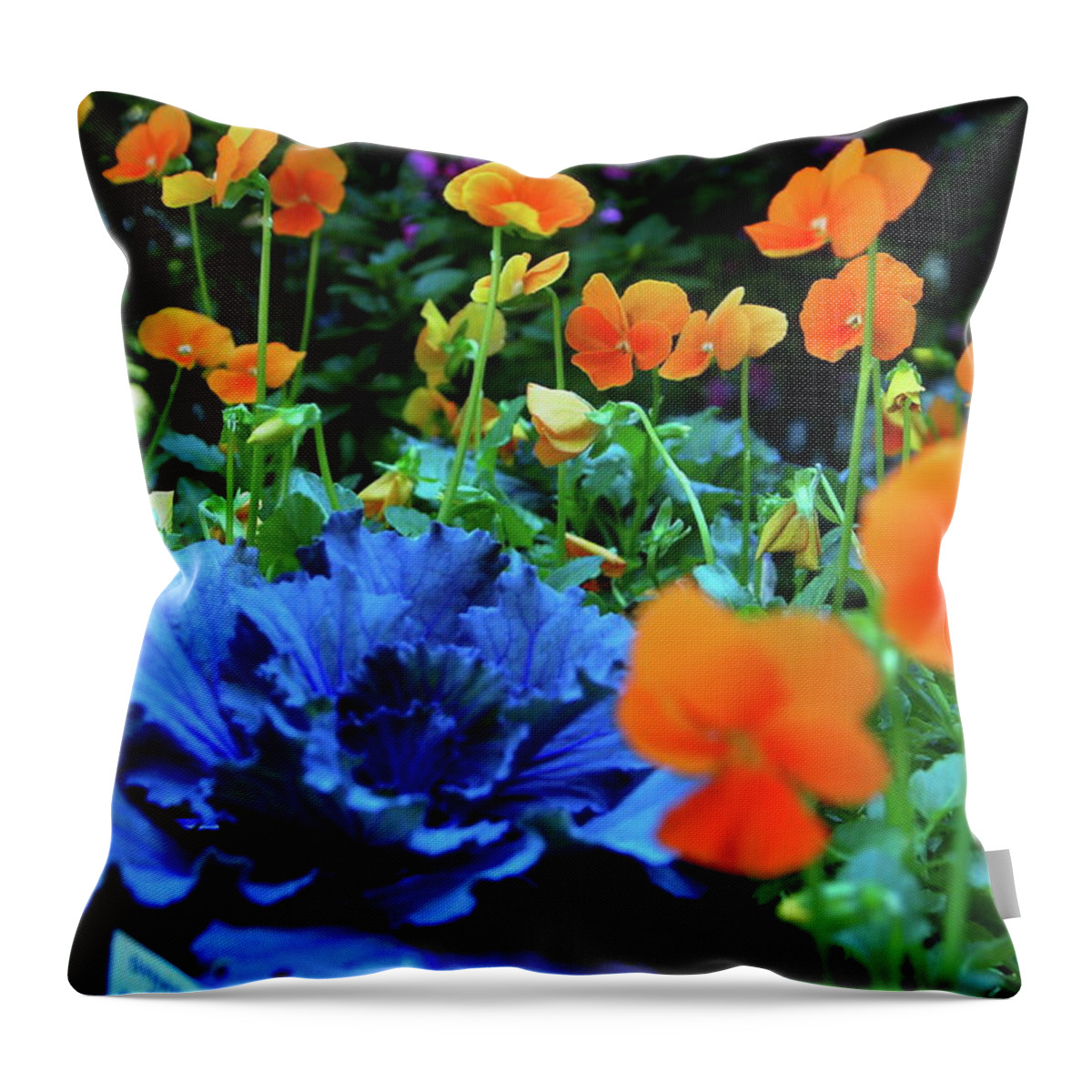 Photography Throw Pillow featuring the photograph Cabbage and Viola's by Laura Grisham