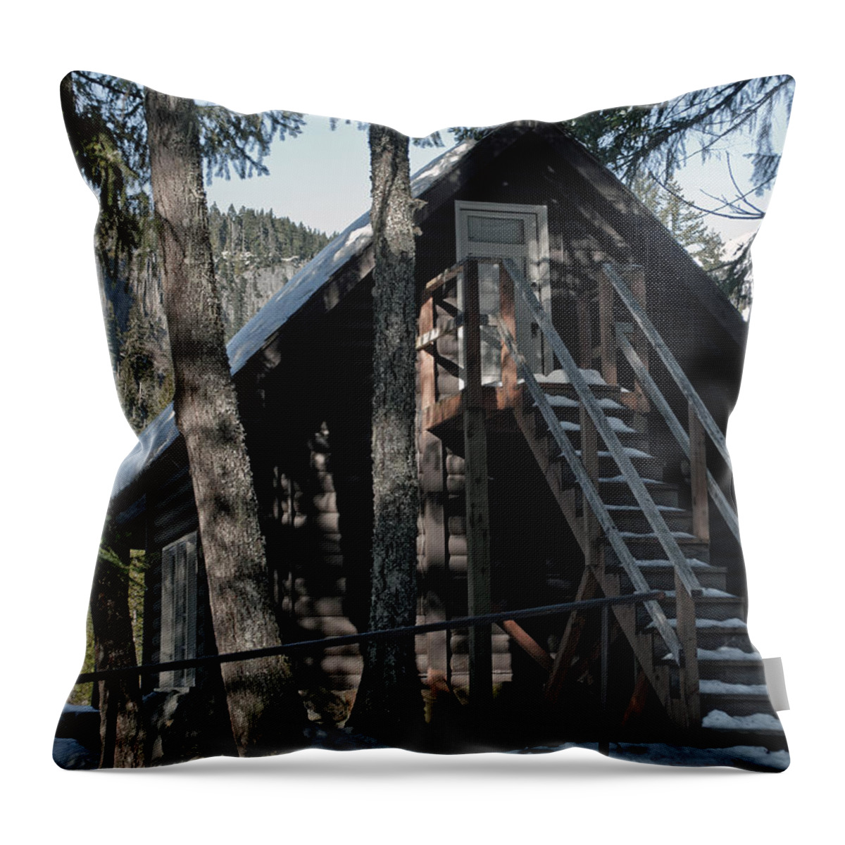 Nature Throw Pillow featuring the photograph Cabin Get Away by Tikvah's Hope