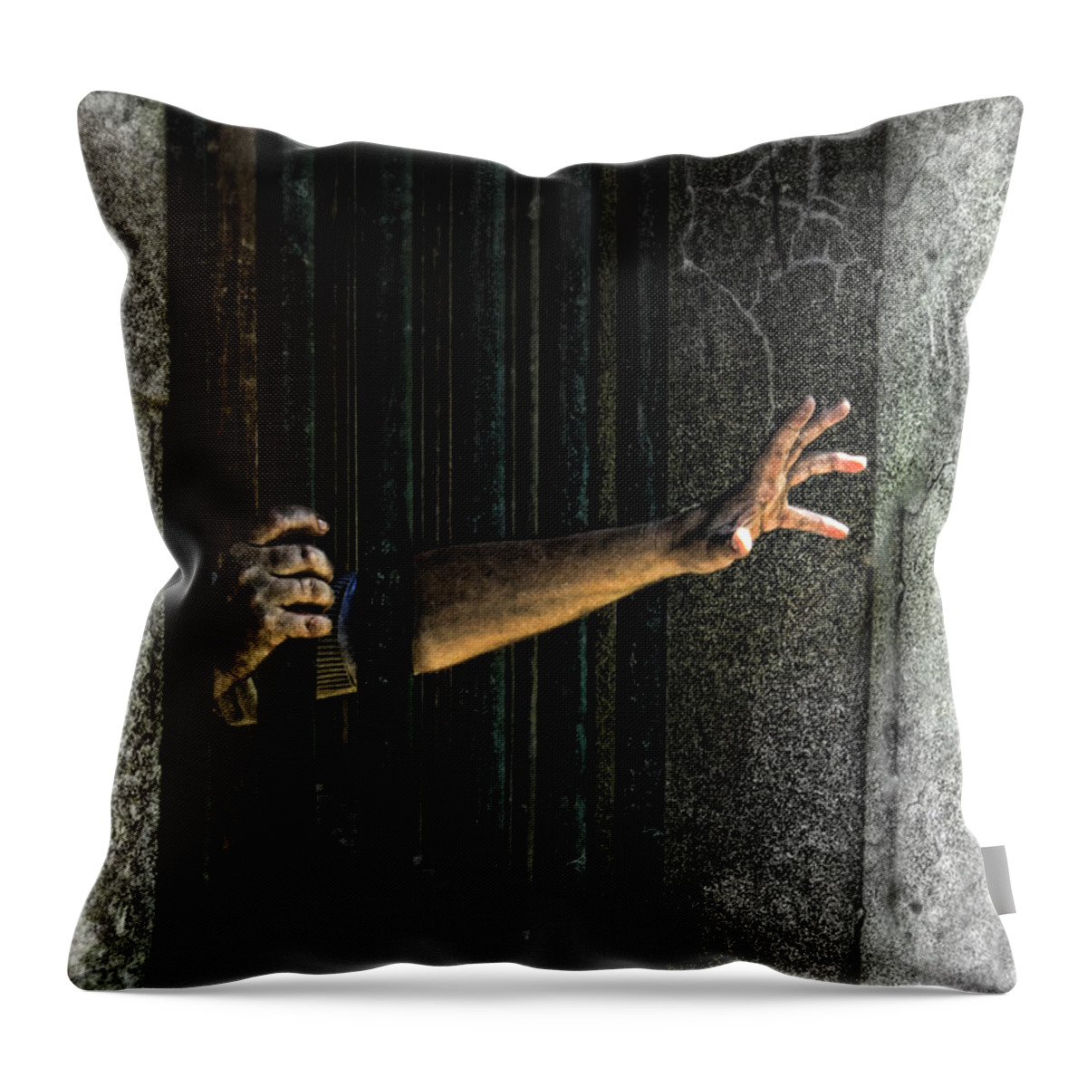 Hands Throw Pillow featuring the photograph Caged 3 by Jill Battaglia