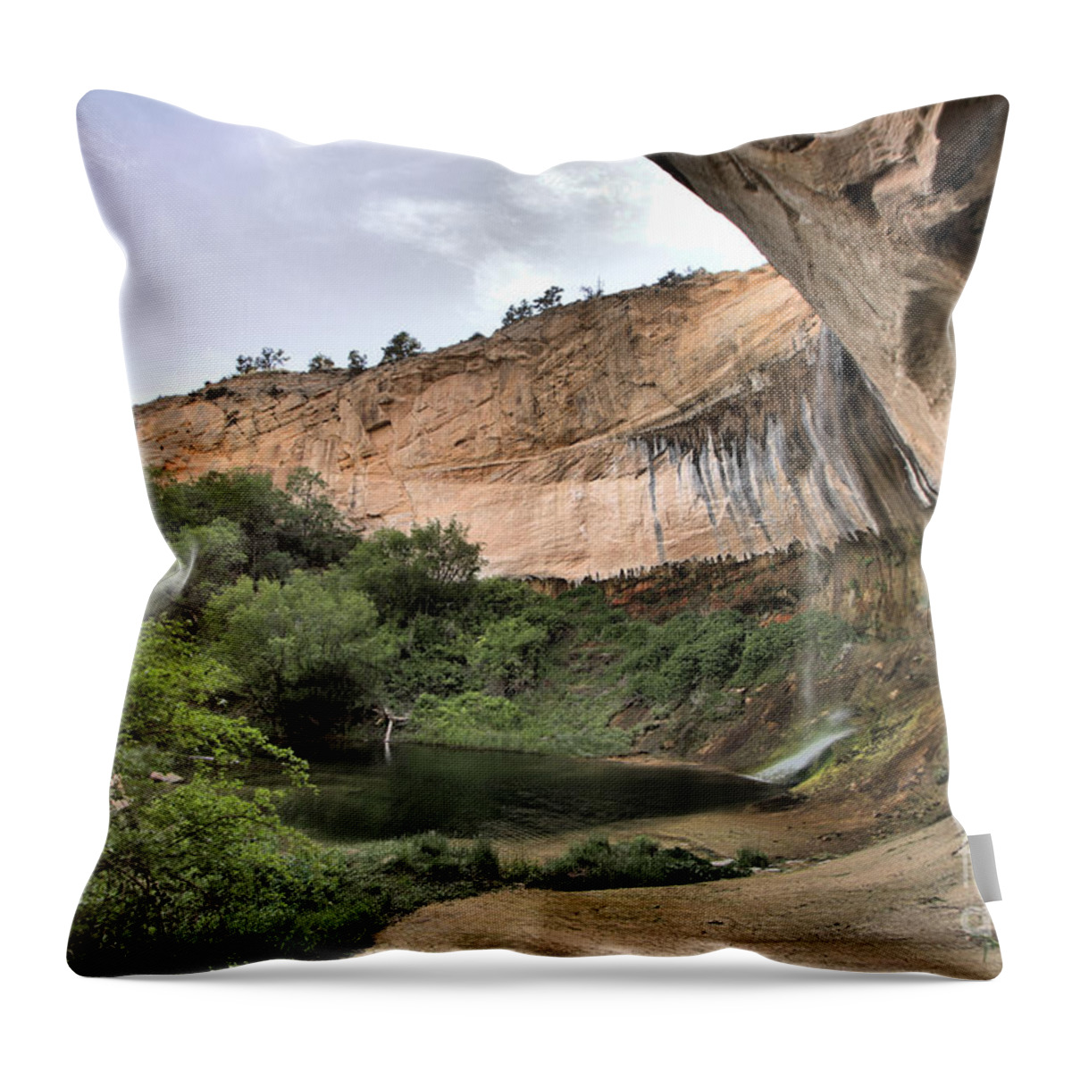 Upper Calf Creek Falls Throw Pillow featuring the photograph Calf Creek Demon by Adam Jewell