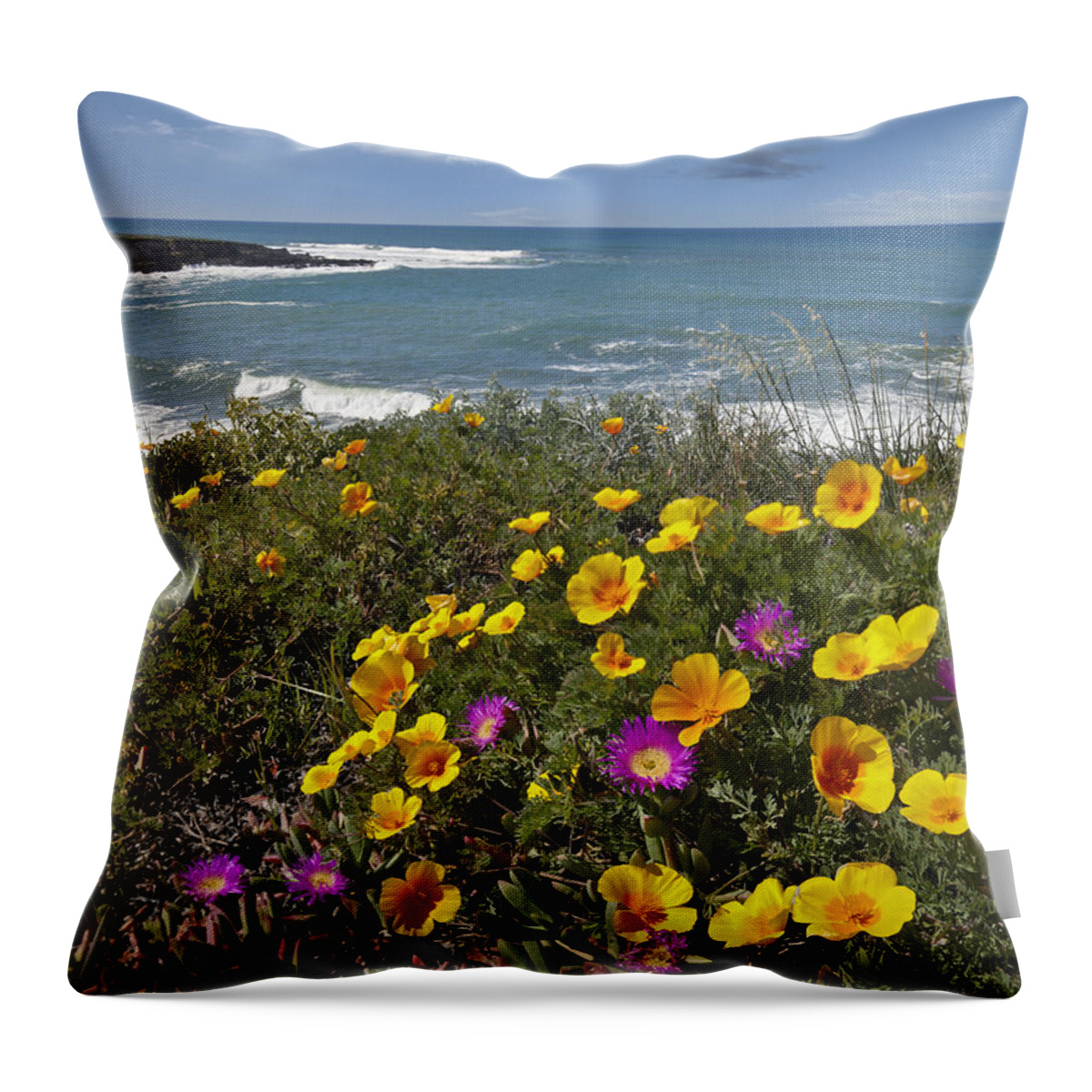 00443044 Throw Pillow featuring the photograph California Poppy And Iceplant by Tim Fitzharris