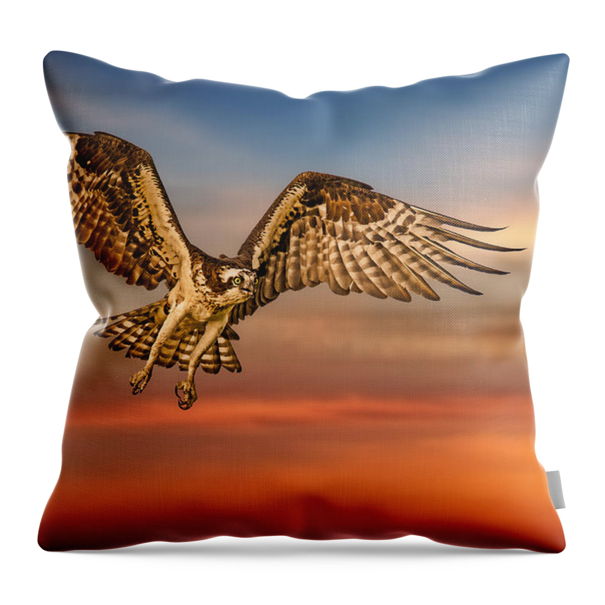 Osprey Throw Pillow featuring the photograph Calling it a Day by Susan Candelario