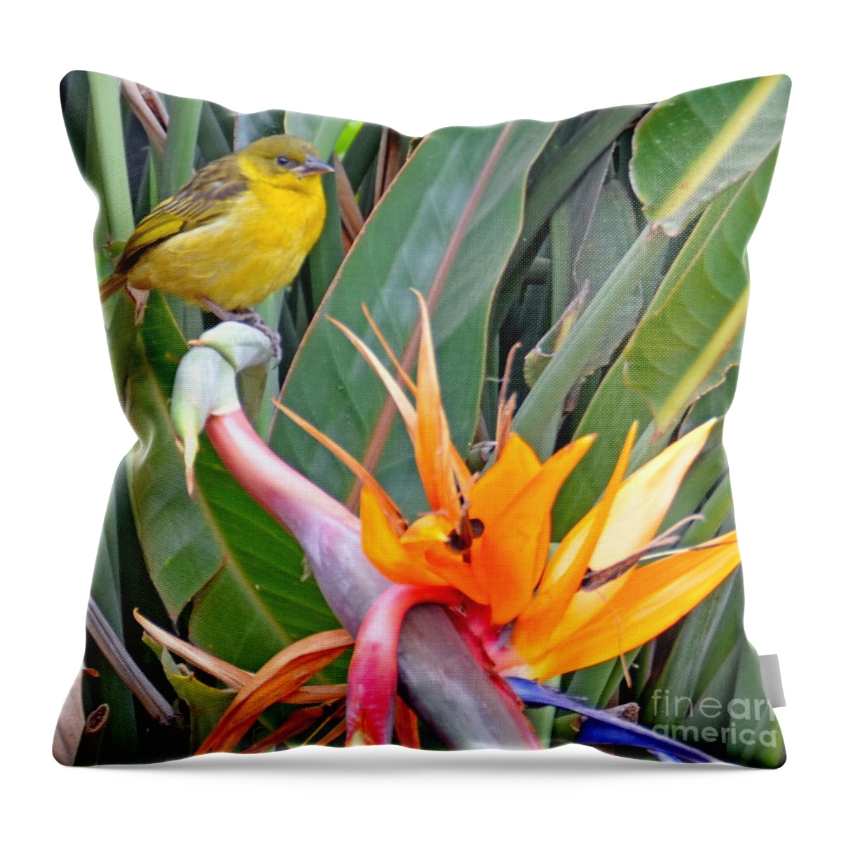 White-bellied Canary Throw Pillow featuring the digital art Canary on Bird of Paradise by Pravine Chester