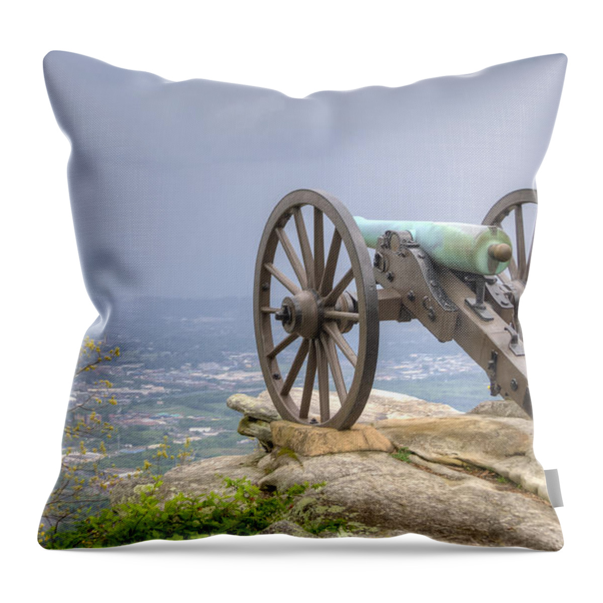 Cannon Throw Pillow featuring the photograph Cannon 2 by David Troxel