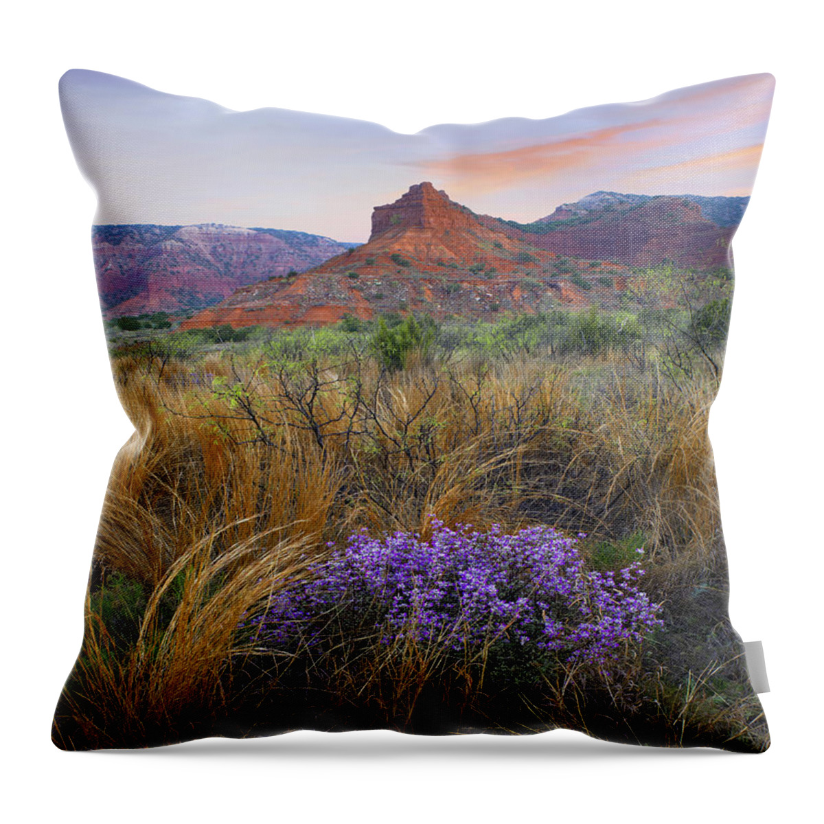 00176814 Throw Pillow featuring the photograph Caprock Canyons State Park Texas by Tim Fitzharris