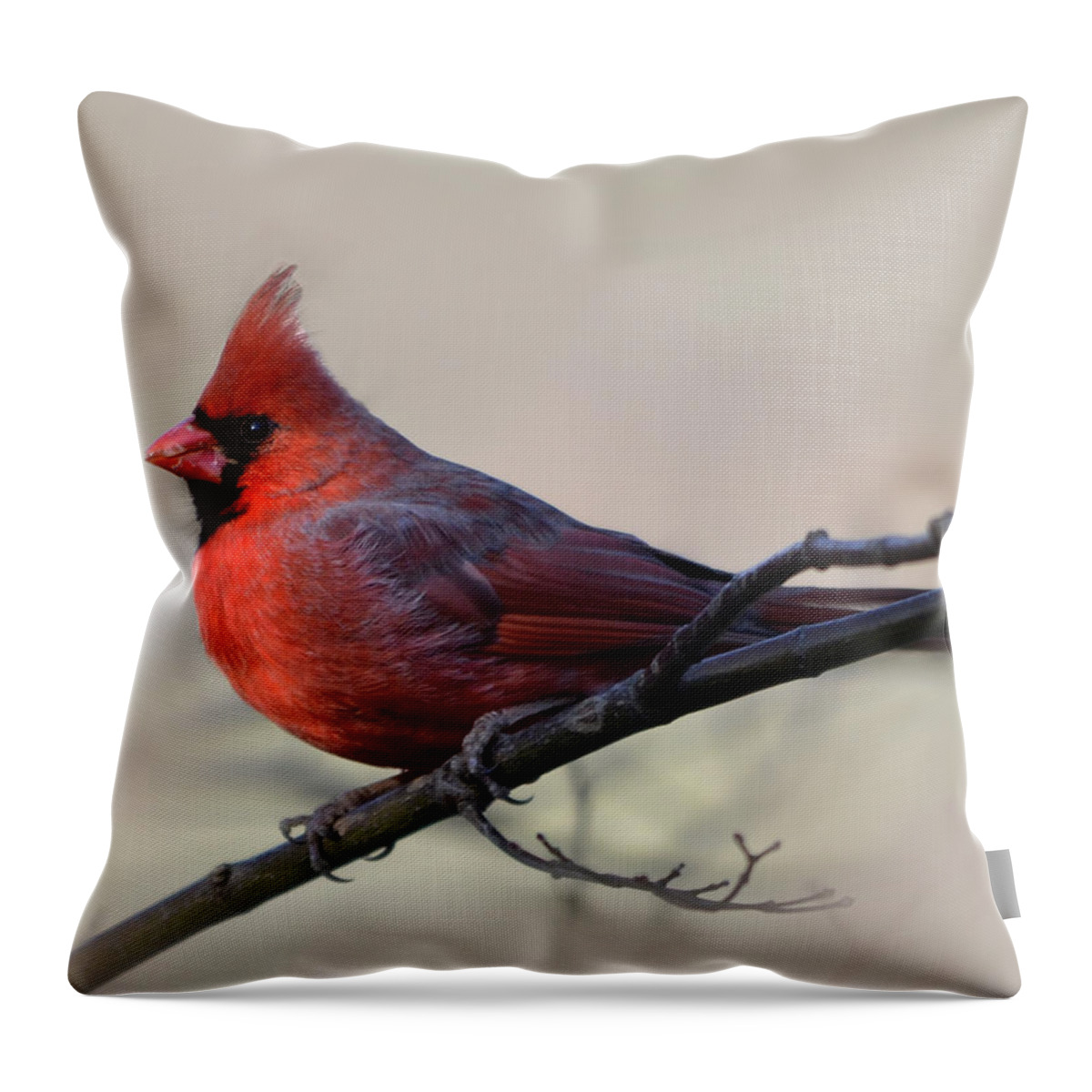 Bird Photograph Throw Pillow featuring the photograph Cardinal On Gray by Ann Bridges