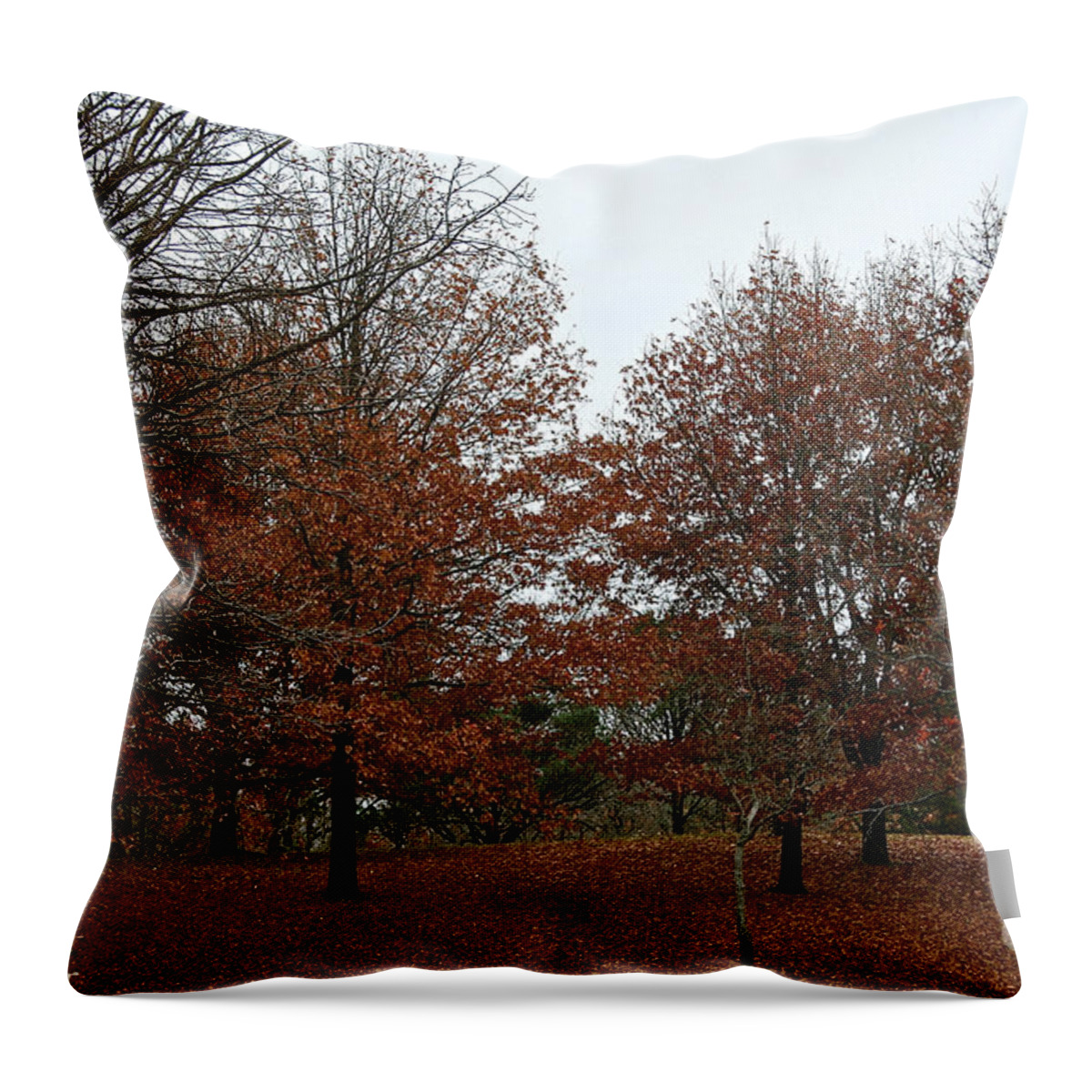 Outdoors Throw Pillow featuring the photograph Carpeted by Susan Herber