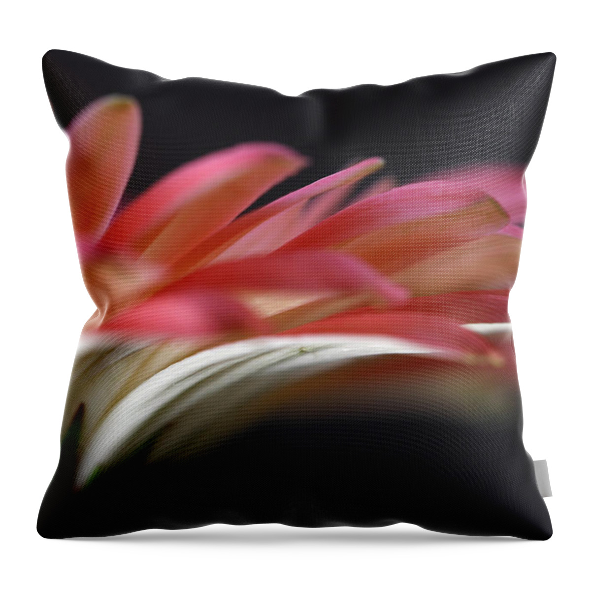 Abstract Throw Pillow featuring the photograph Cascade by Juergen Roth