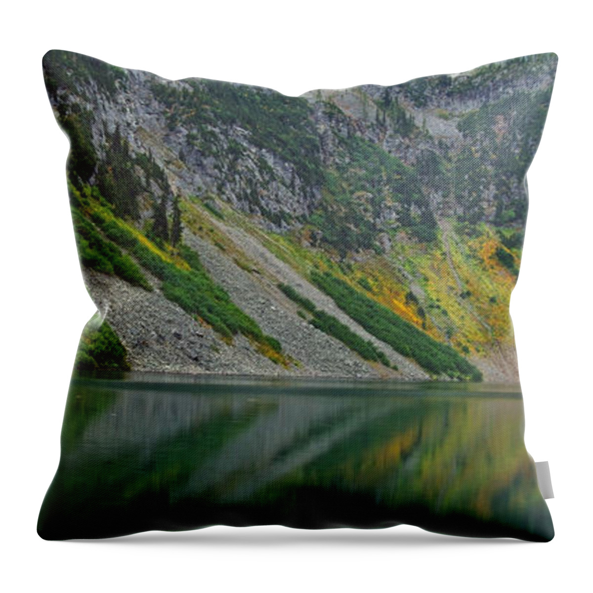 Rainy Throw Pillow featuring the photograph Cascades Rainy Lake 9160 by Michael Peychich
