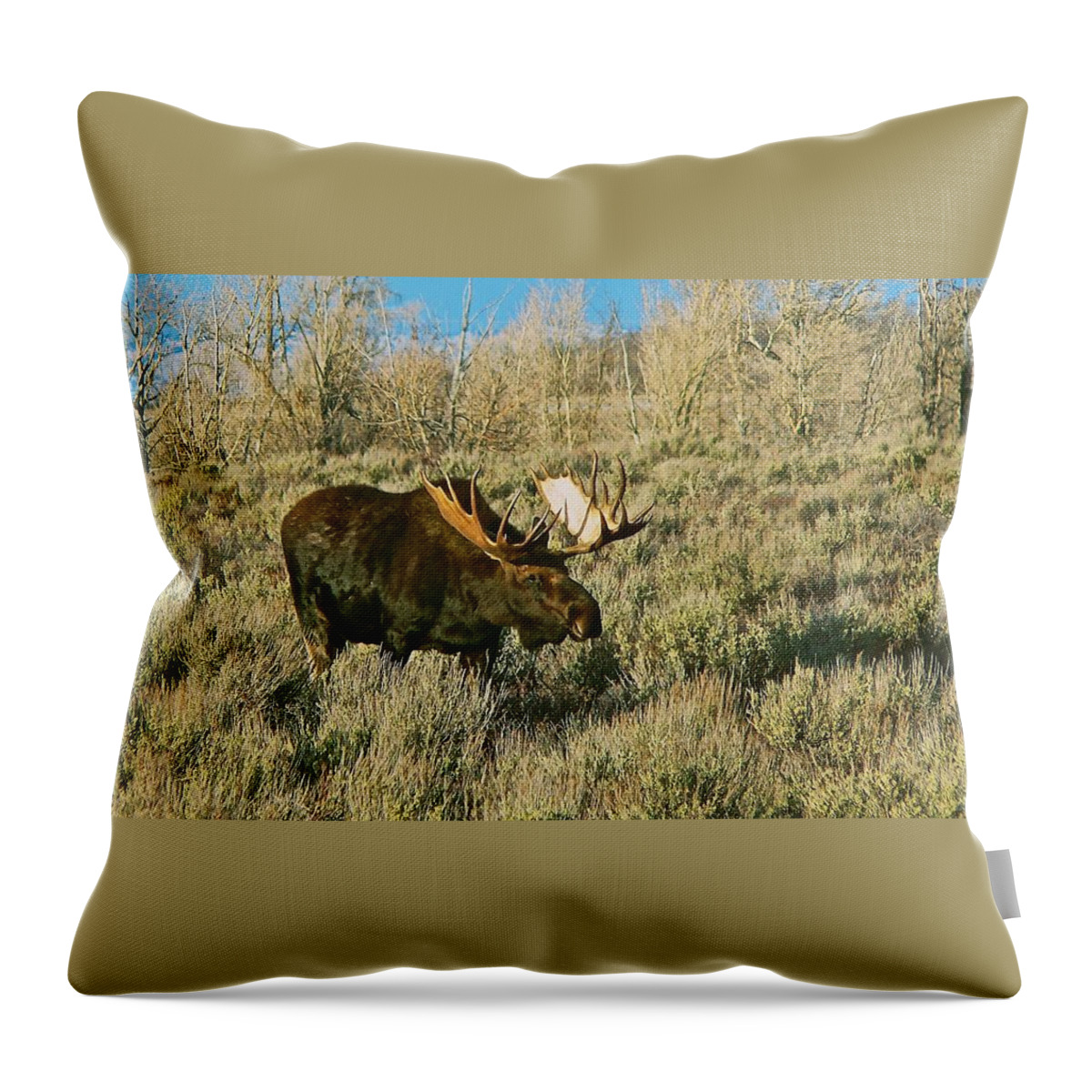 Moose Throw Pillow featuring the photograph Casting a Long Shadow by Eric Tressler