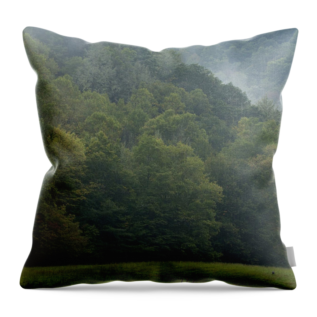 Elk Throw Pillow featuring the photograph Cataloochee Elk by Carrie Cranwill