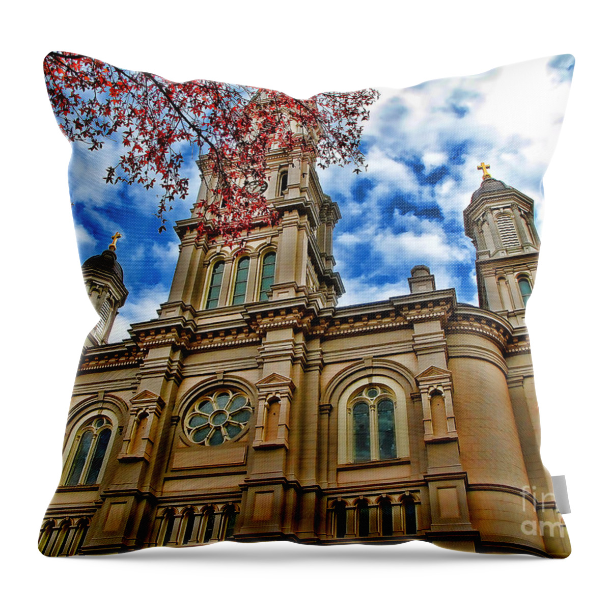 Church Throw Pillow featuring the photograph Cathedral by Jason Abando