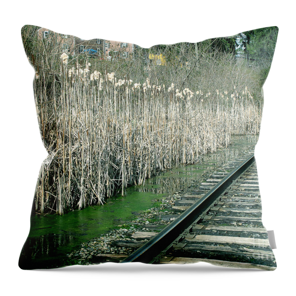 Cattails Throw Pillow featuring the photograph Cattails by the Tracks by Sandy McIntire