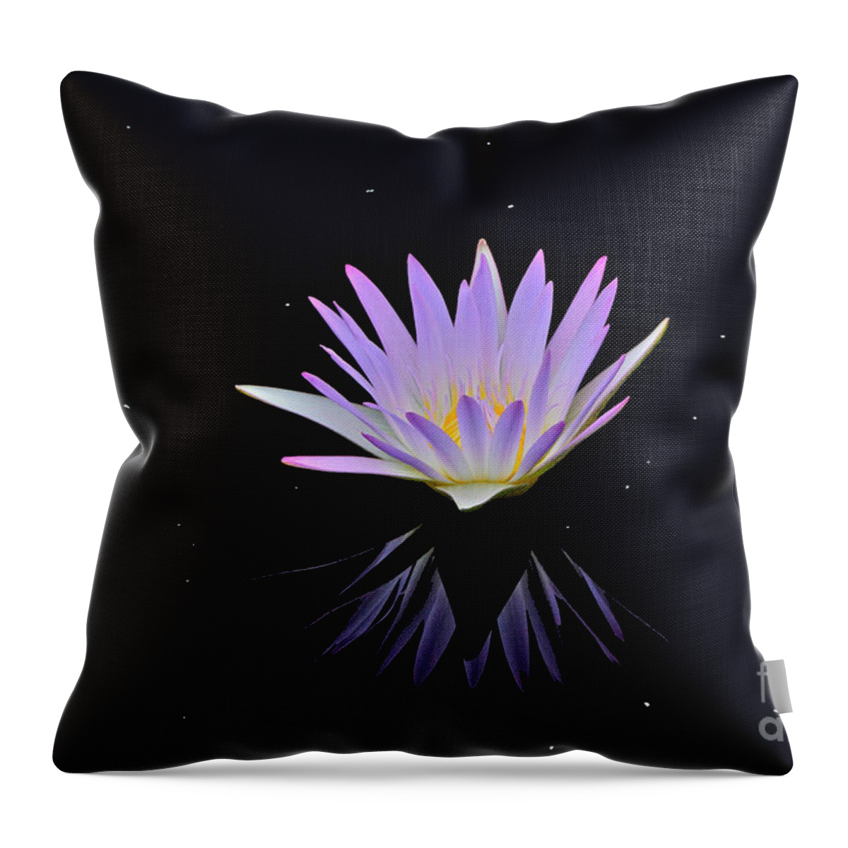 Lavender Tropical Waterlily Throw Pillow featuring the photograph Celestial Waterlily by Byron Varvarigos