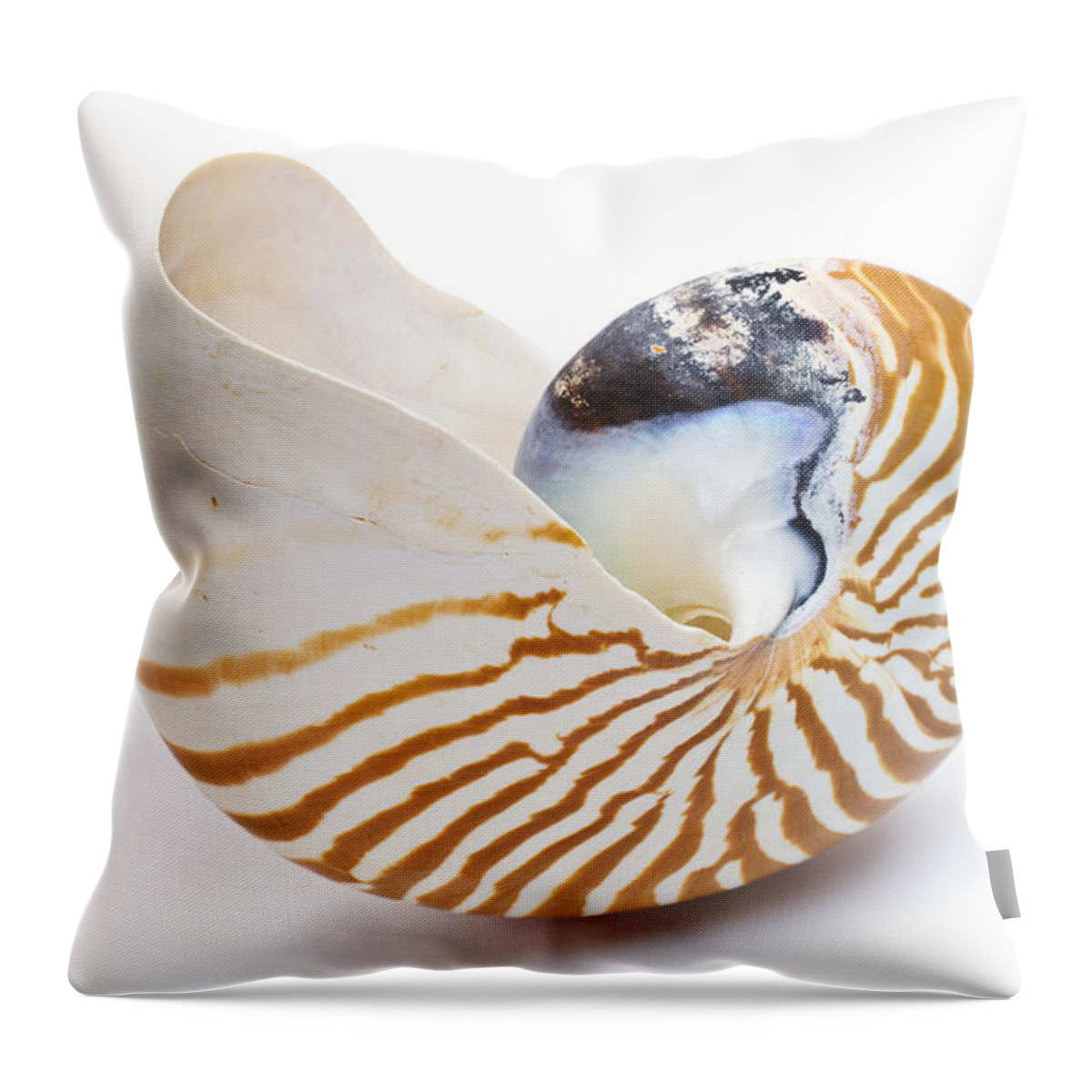 00478815 Throw Pillow featuring the photograph Chambered Nautilus Shell by Piotr Naskrecki