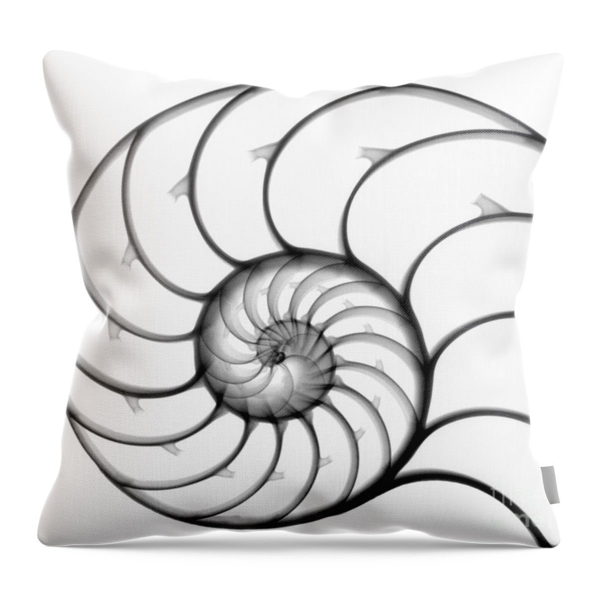 X-ray Throw Pillow featuring the photograph Chambered Nautilus by Ted Kinsman