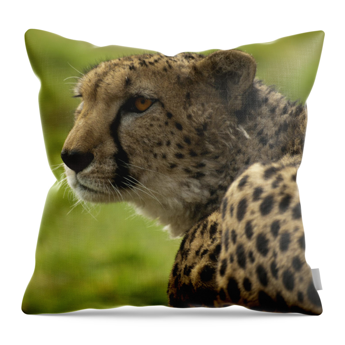 Cheetah Throw Pillow featuring the photograph Cheetah by Steev Stamford
