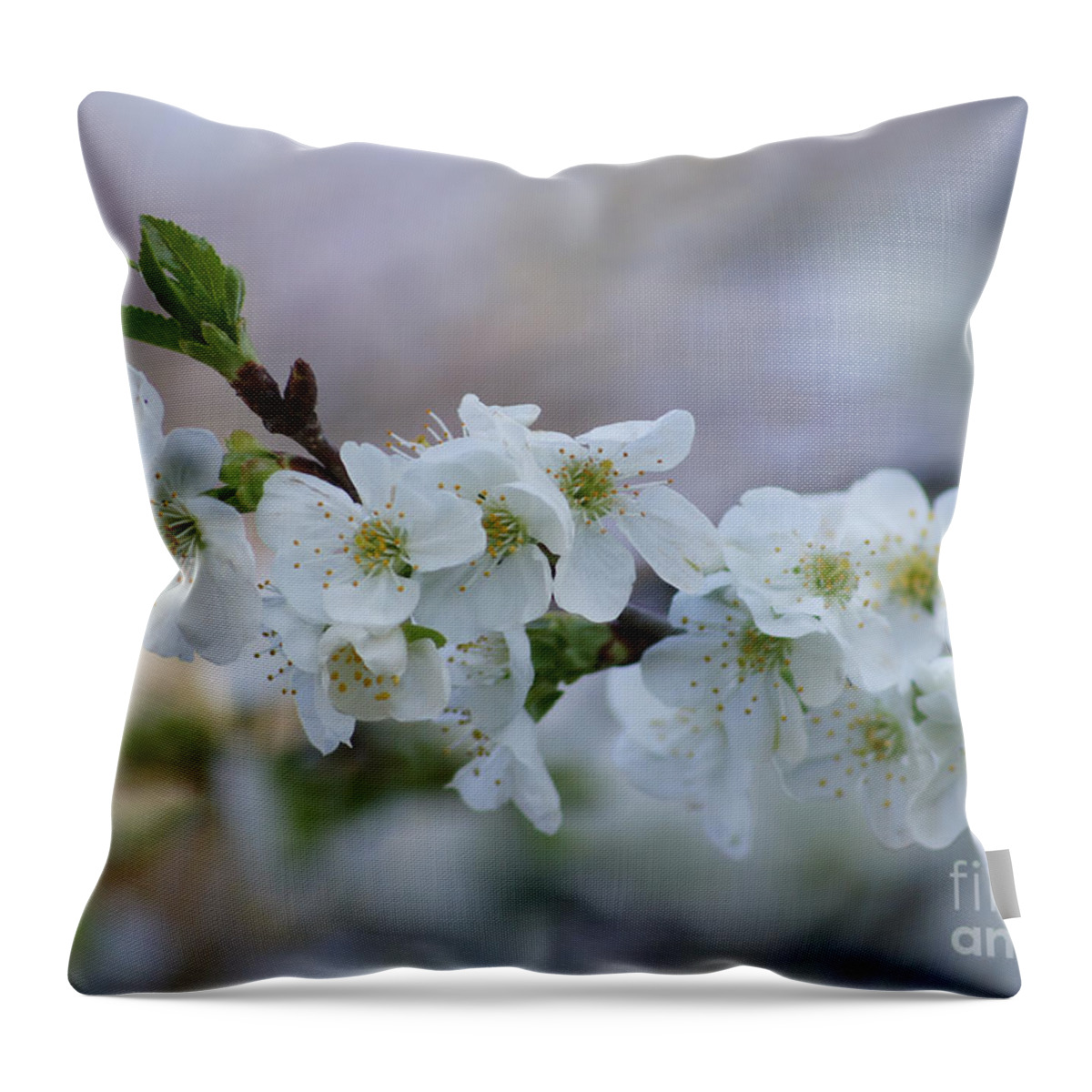 Cherry Blossoms Throw Pillow featuring the photograph Cherry Blossoms 1 by Robert E Alter Reflections of Infinity
