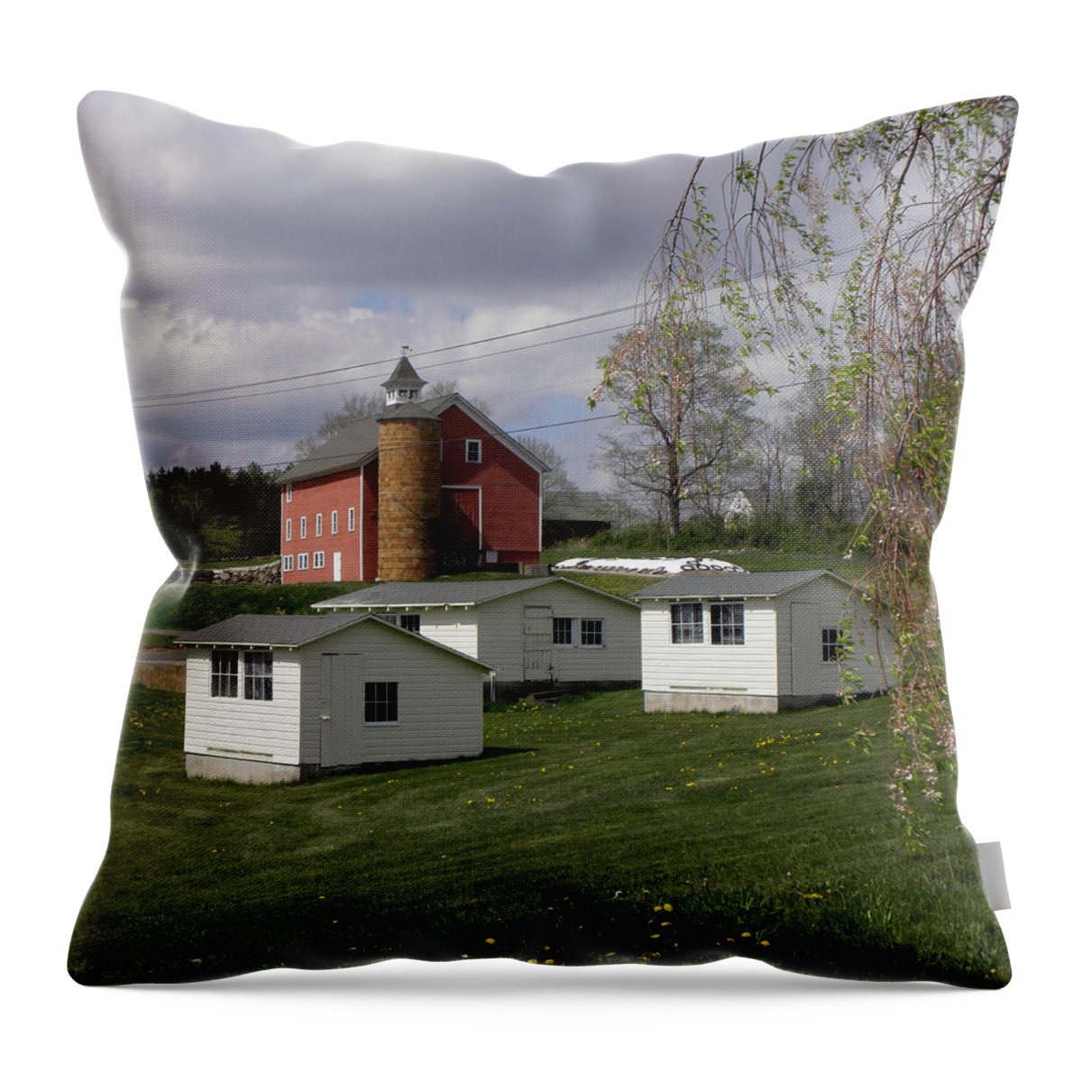 University Of Connecticut Throw Pillow featuring the photograph Chicken coops and Barn by Kim Galluzzo
