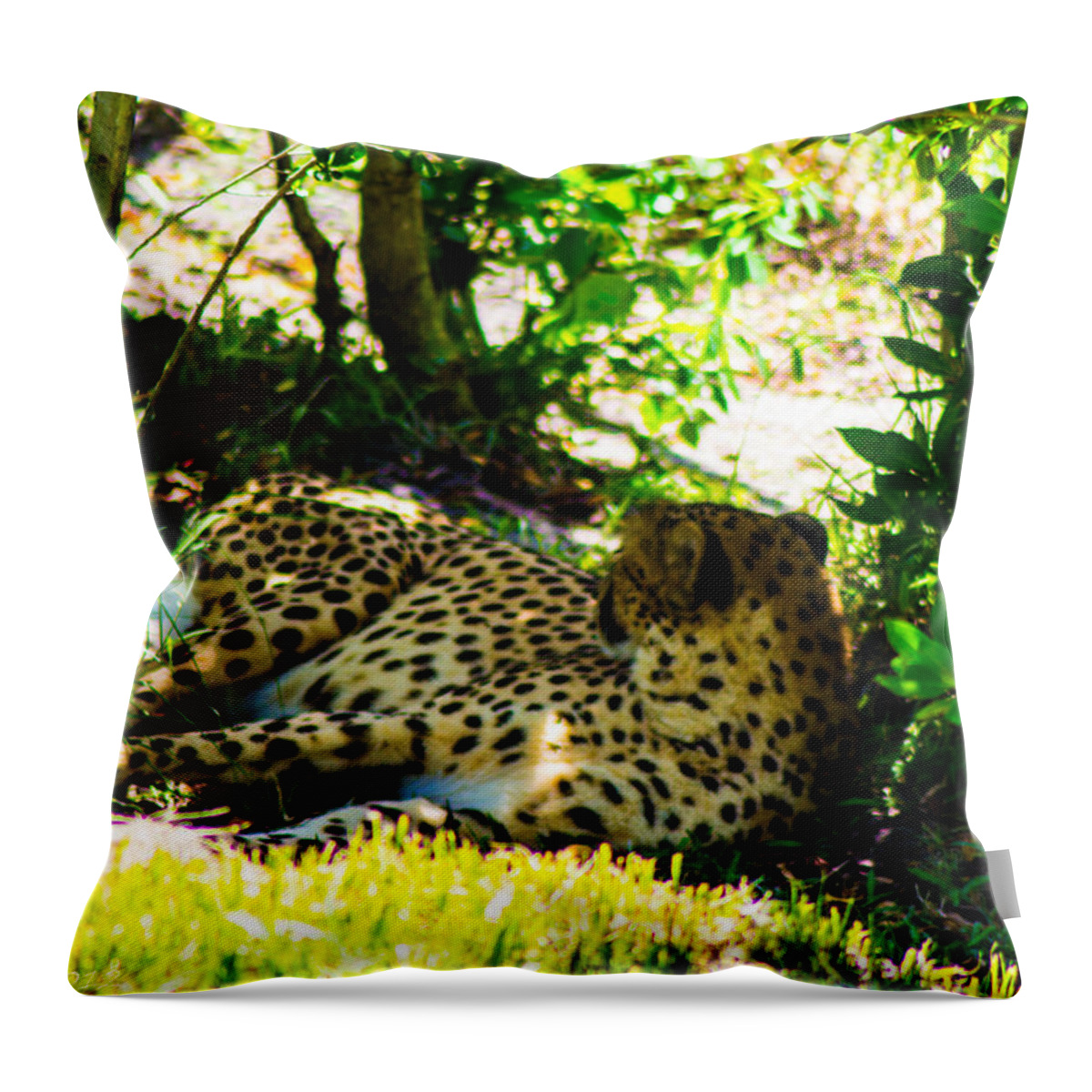  Throw Pillow featuring the photograph Chillin by Shannon Harrington