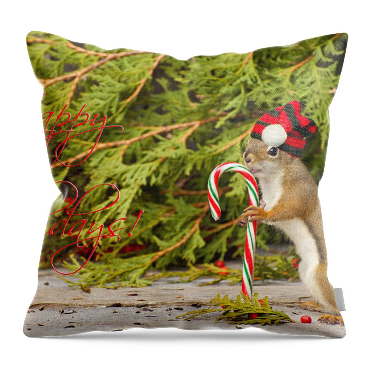 Christmas Card Throw Pillow featuring the photograph Christmas Squirrel. by Kelly Nelson