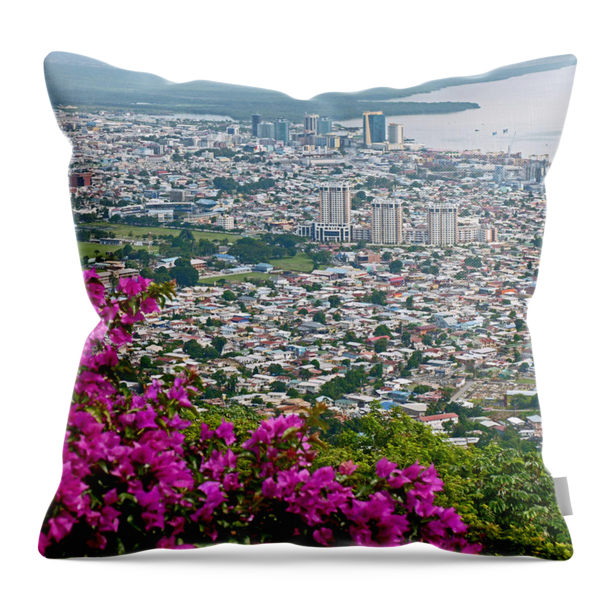 Picture Of Port Of Spain From Fort George Throw Pillow featuring the photograph City of Port of Spain Trinidad by Karin Dawn Kelshall- Best