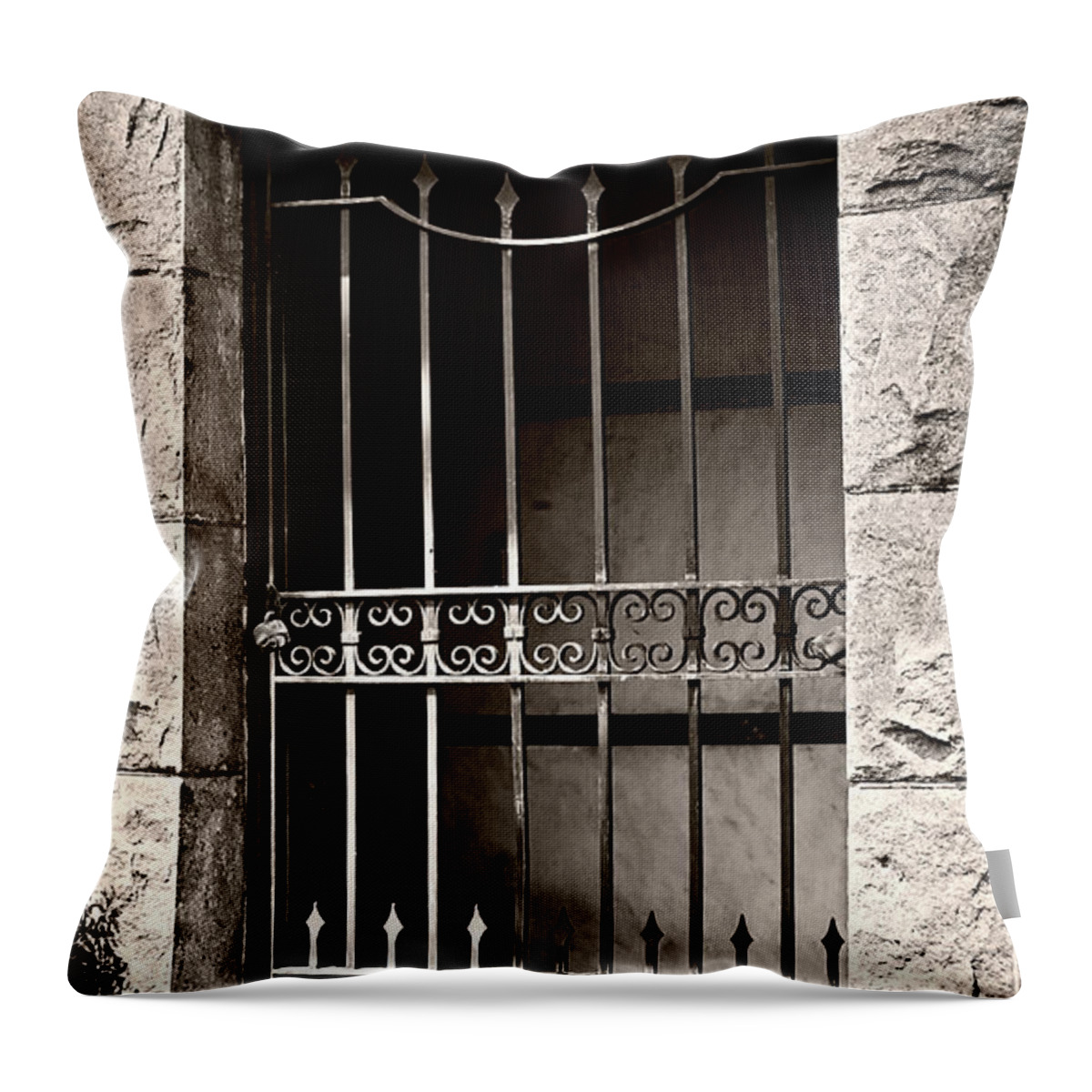 Endre Throw Pillow featuring the photograph Civil War by Endre Balogh