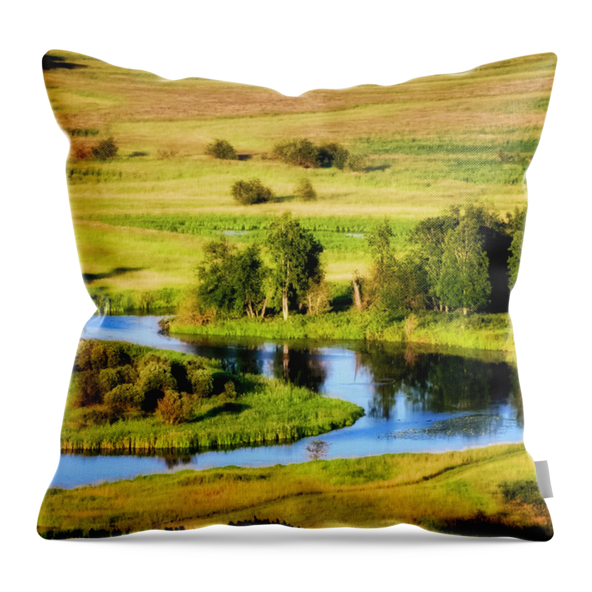 North Idaho Throw Pillow featuring the photograph Clark Fork Delta by Albert Seger