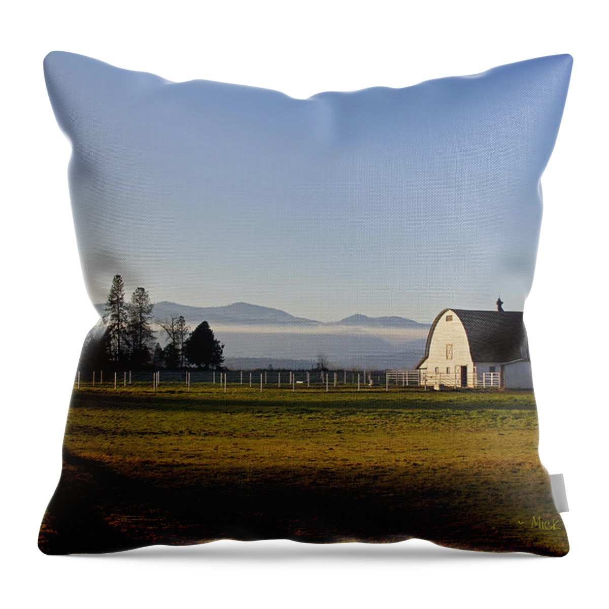 Barn Throw Pillow featuring the photograph Classic Barn in the Country by Mick Anderson