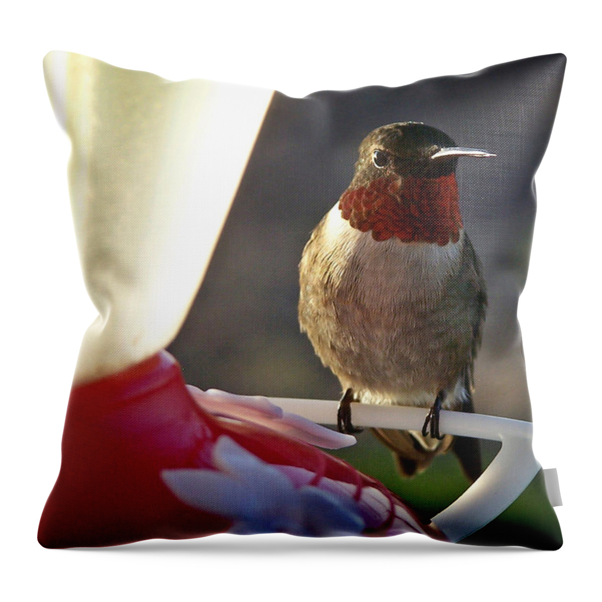 Early Morning Light Throw Pillow featuring the photograph Classic Portrait Pose by Bill Pevlor