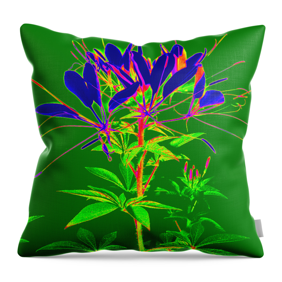 Computer Generated Flower Throw Pillow featuring the photograph Cleome gone abstract by Kim Galluzzo