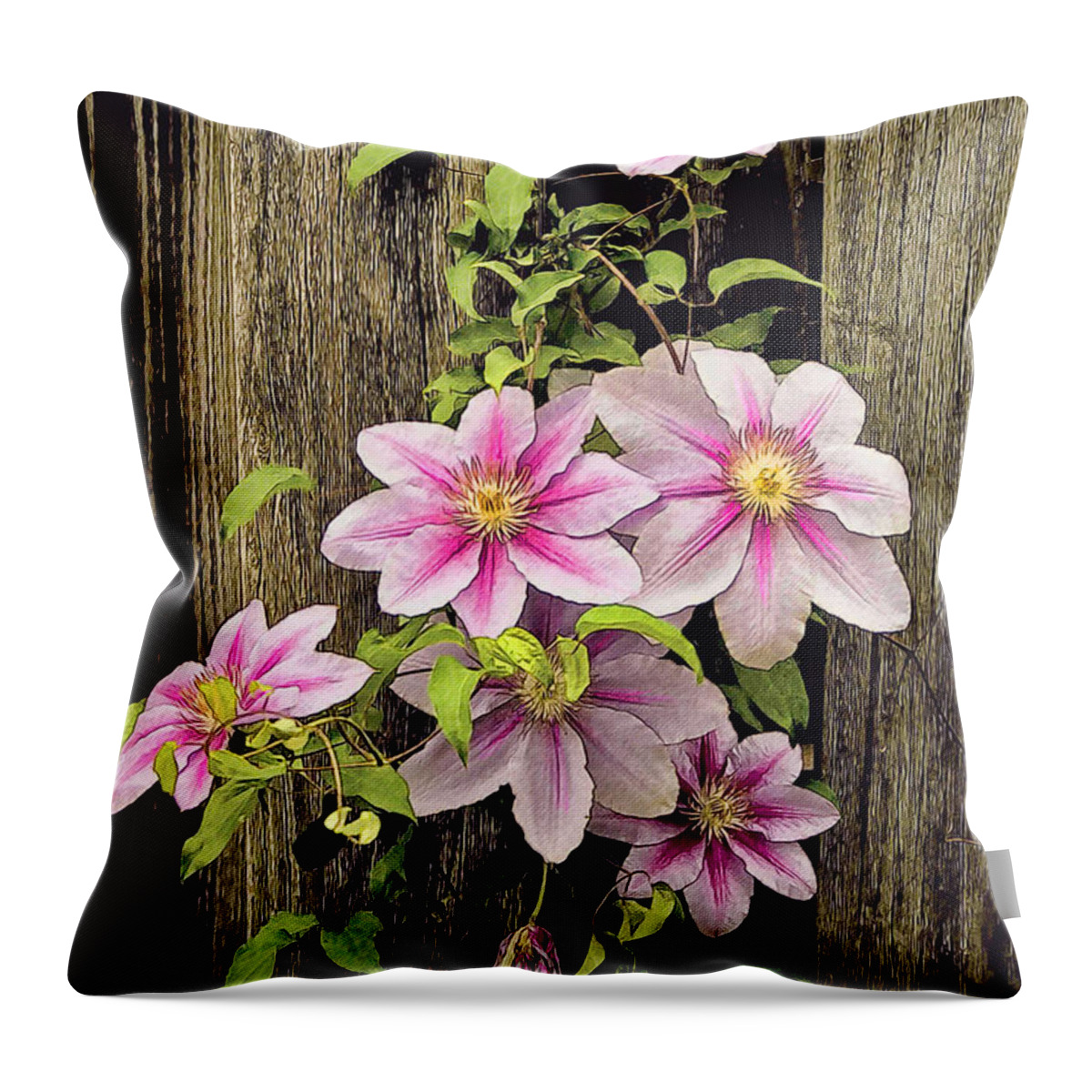 Flower Throw Pillow featuring the photograph Climatis Flowering Vine by Bonnie Willis