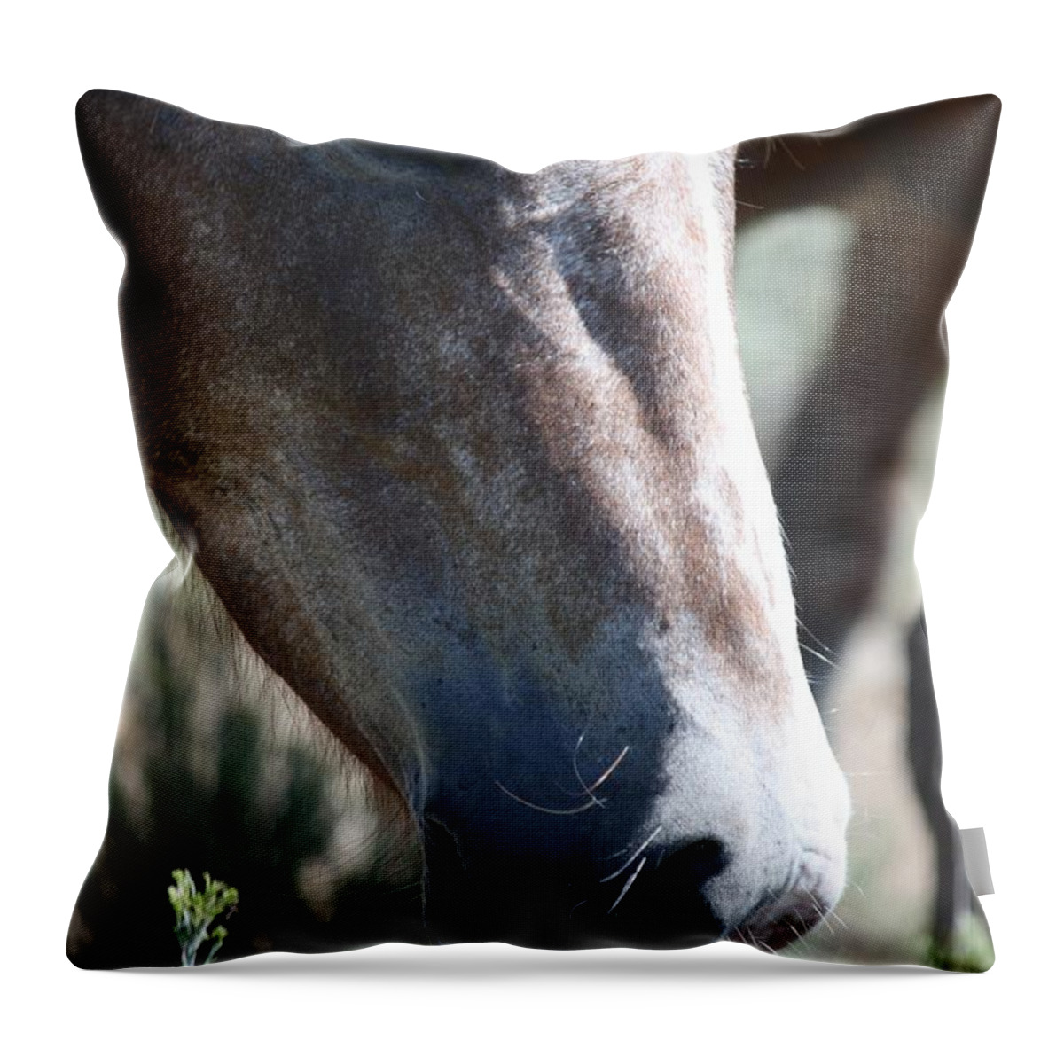 Horses Throw Pillow featuring the photograph Close Up Beauty - Monero Mustangs Sanctuary by Veronica Batterson