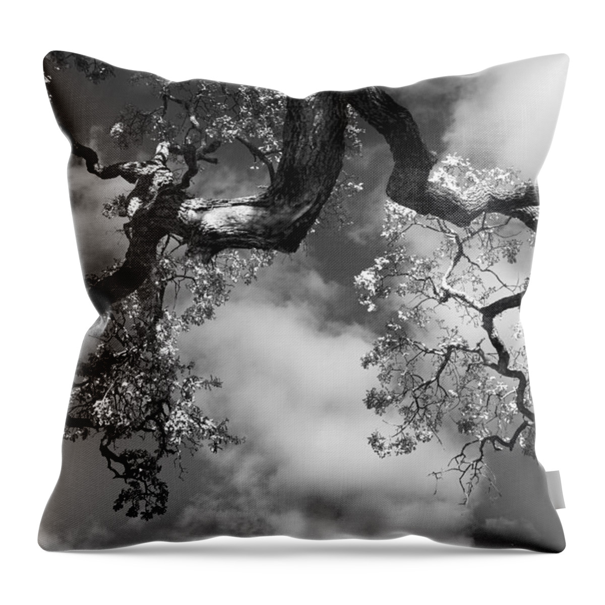 Oak Tree Throw Pillow featuring the photograph Cloudy Oak by Laurie Search