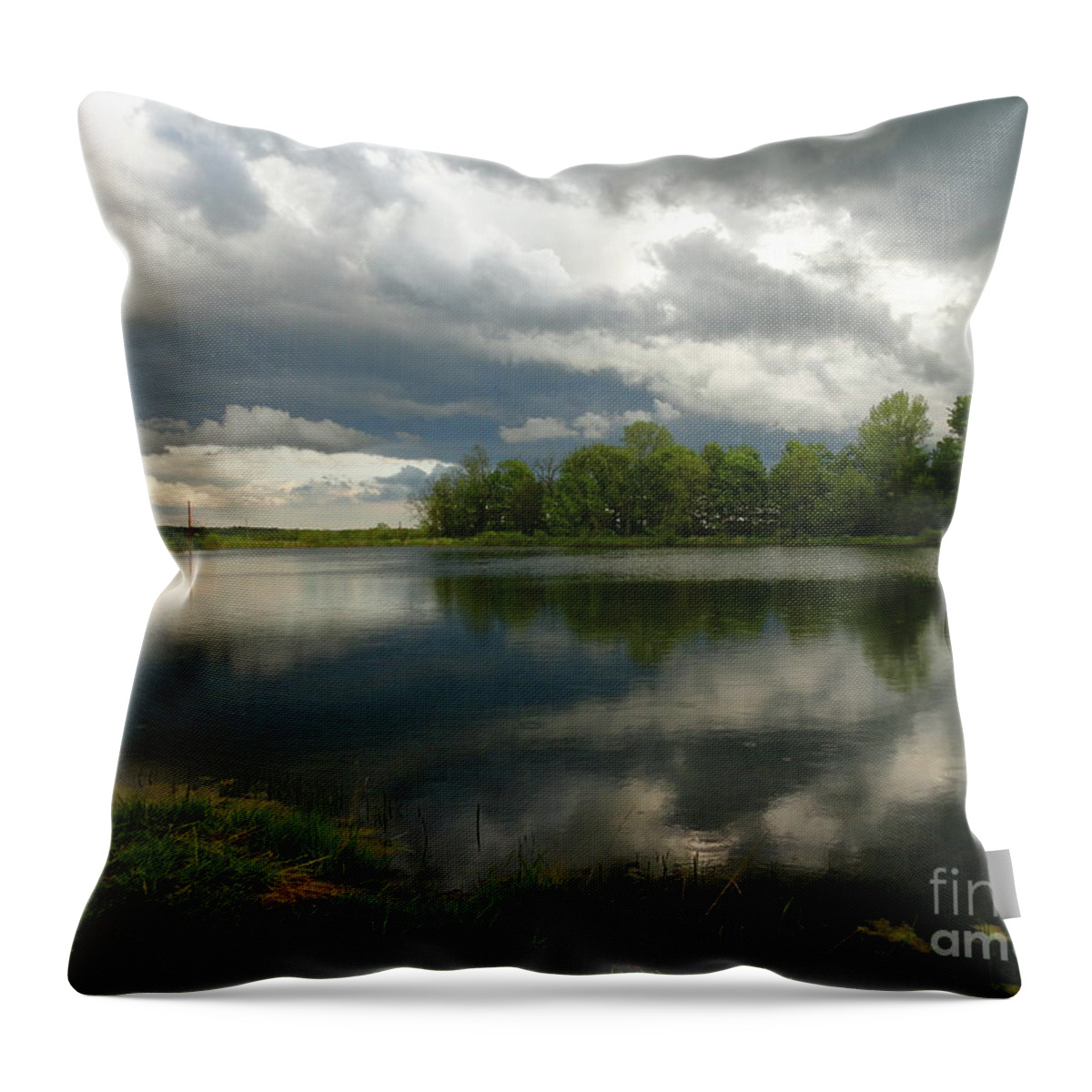 Flora Photographs Throw Pillow featuring the photograph Cloudy with a Chance of Paint 1 by Trish Hale