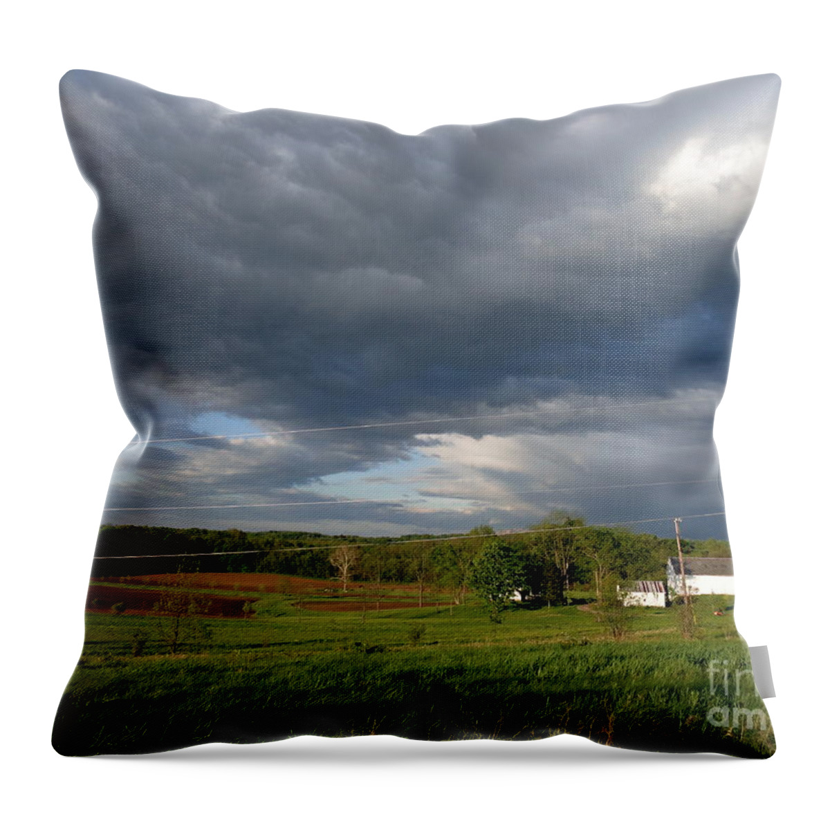  Flora Photographs Photographs Throw Pillow featuring the photograph cloudy with a Chance of Paint 2 by Trish Hale